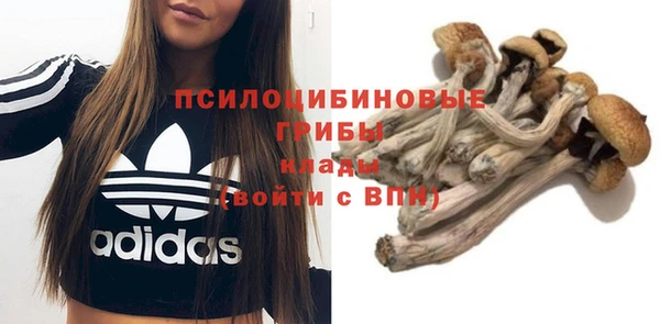 COCAINE Инсар