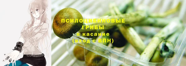 COCAINE Инсар