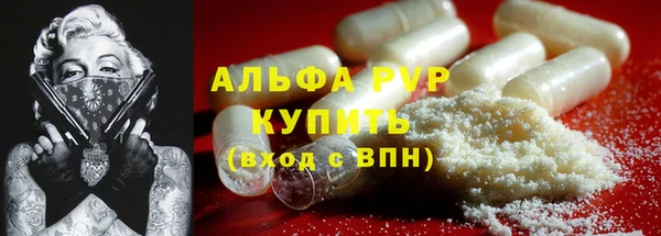 гидра Иннополис